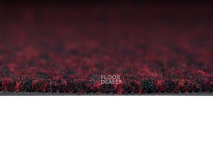 Vebe Arco Pc Arco 40 фото 3 | FLOORDEALER